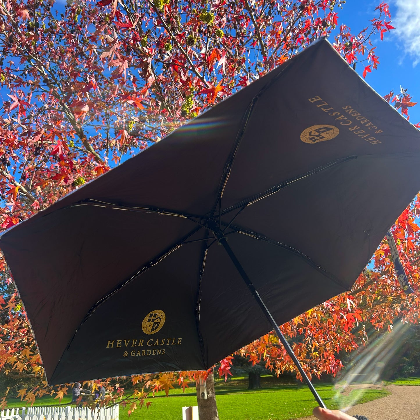 Book of Hours Umbrella