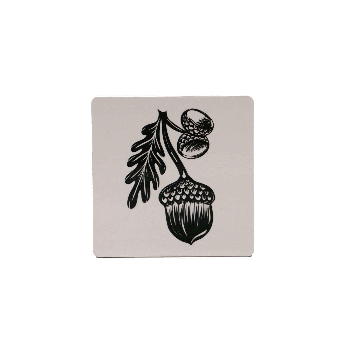 Capturing A Queen Coaster Acorn
