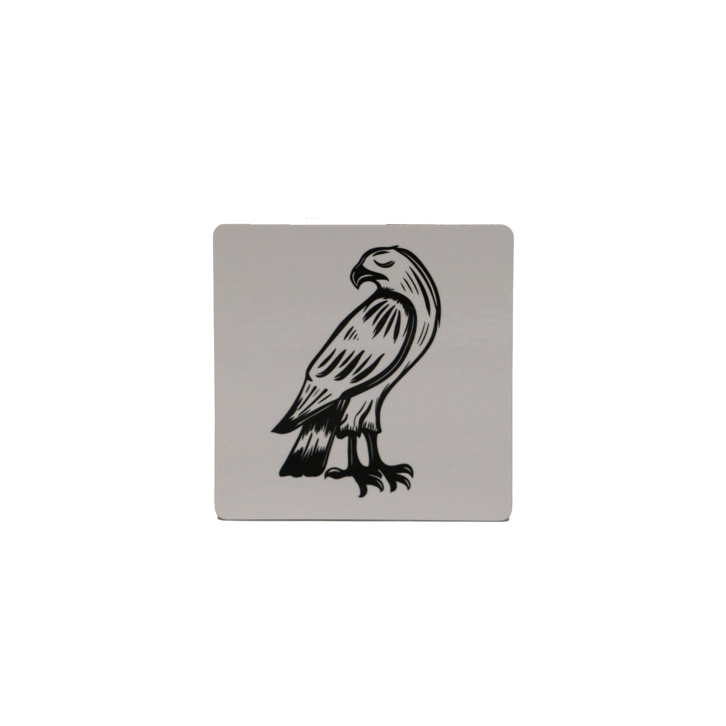 Capturing A Queen Coaster Falcon