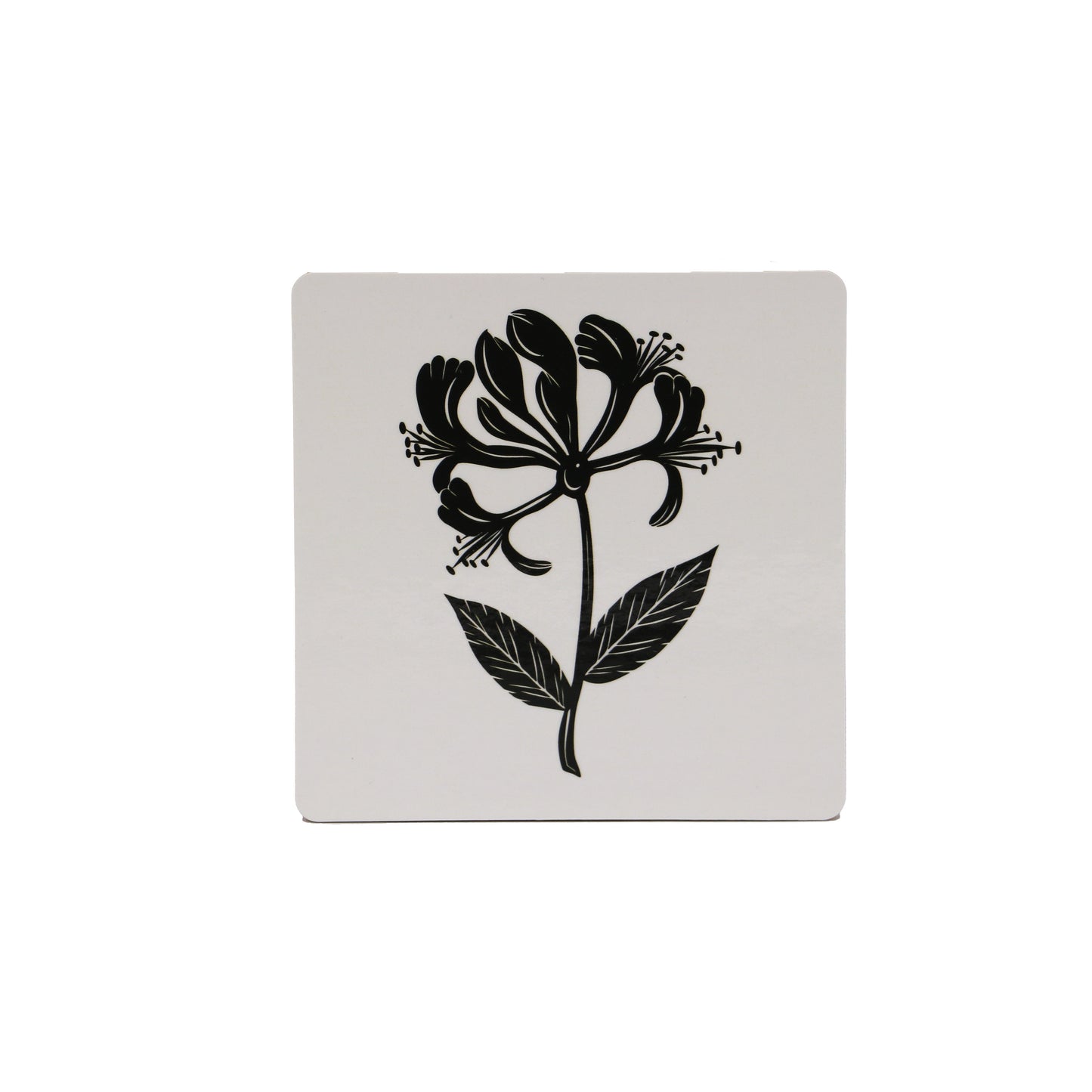 Capturing A Queen Coaster Honeysuckle
