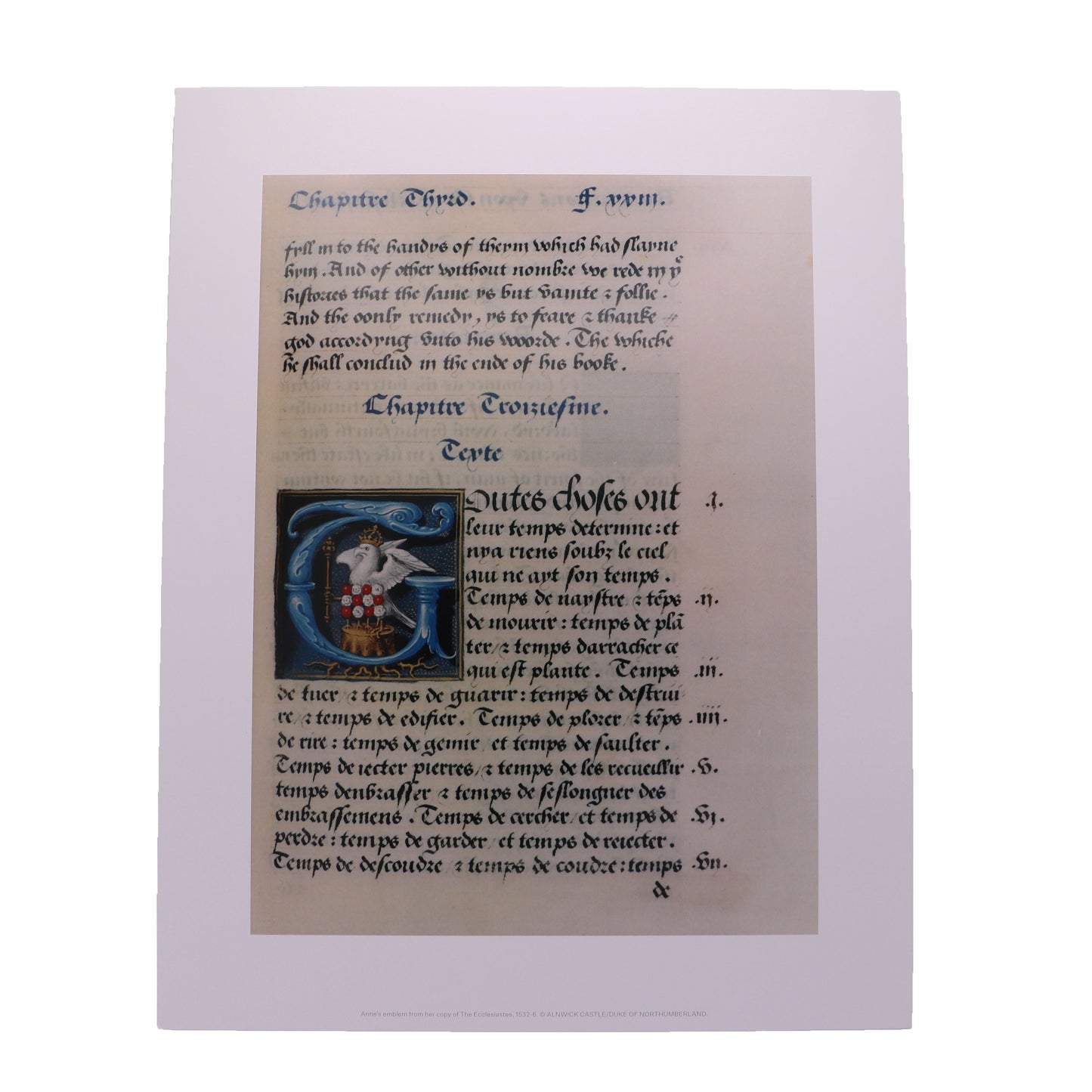 Anne Emblem Mounted Print