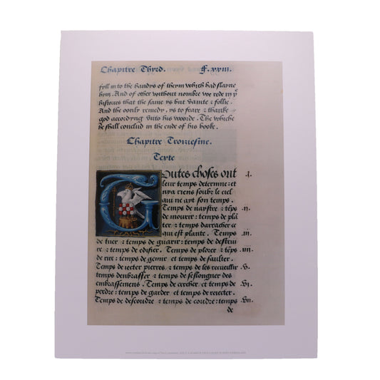 Anne Emblem Mounted Print