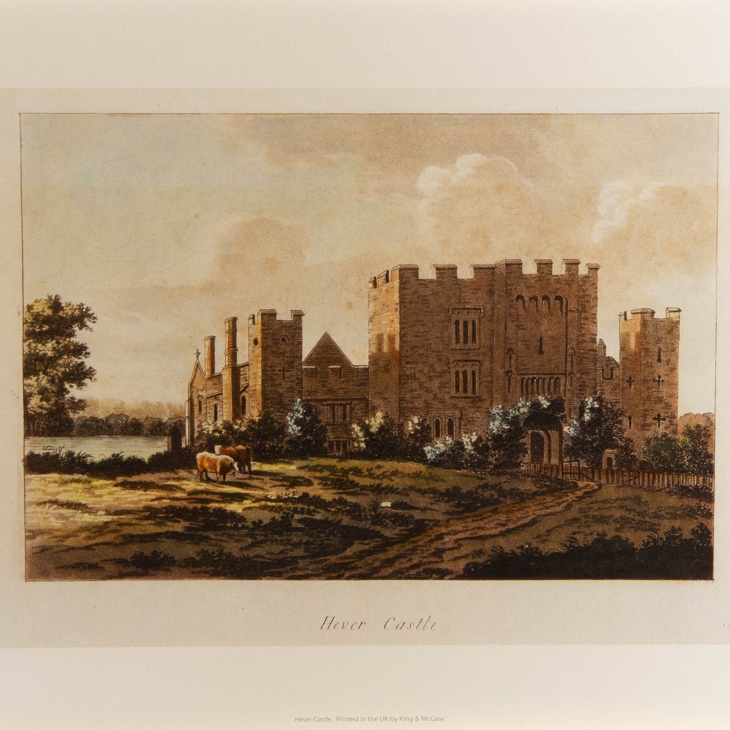 Hever Castle Cows Mounted Print