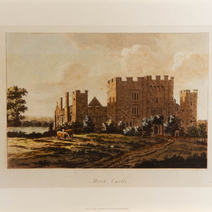 Hever Castle Cows Mounted Print